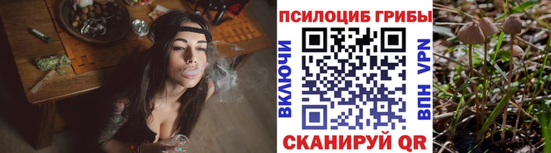 Псилоцибиновые грибы ЛСД Богородицк